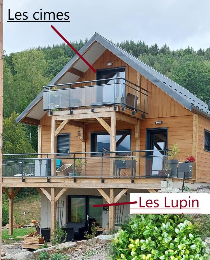 Au chalet de JO Muhlbach-sur-Munster Extérieur photo